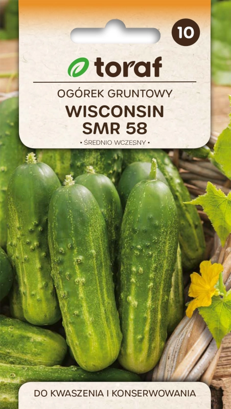 Toraf Ogórek Gruntowy Wisconsin SMR 58 nasiona 2 sklep rajogrodnika